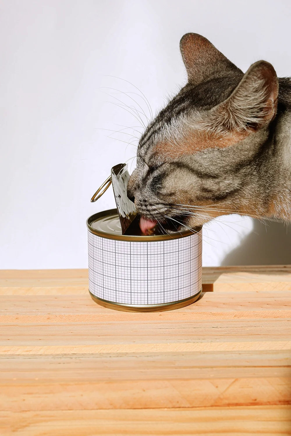 Cat Food Can Mockup