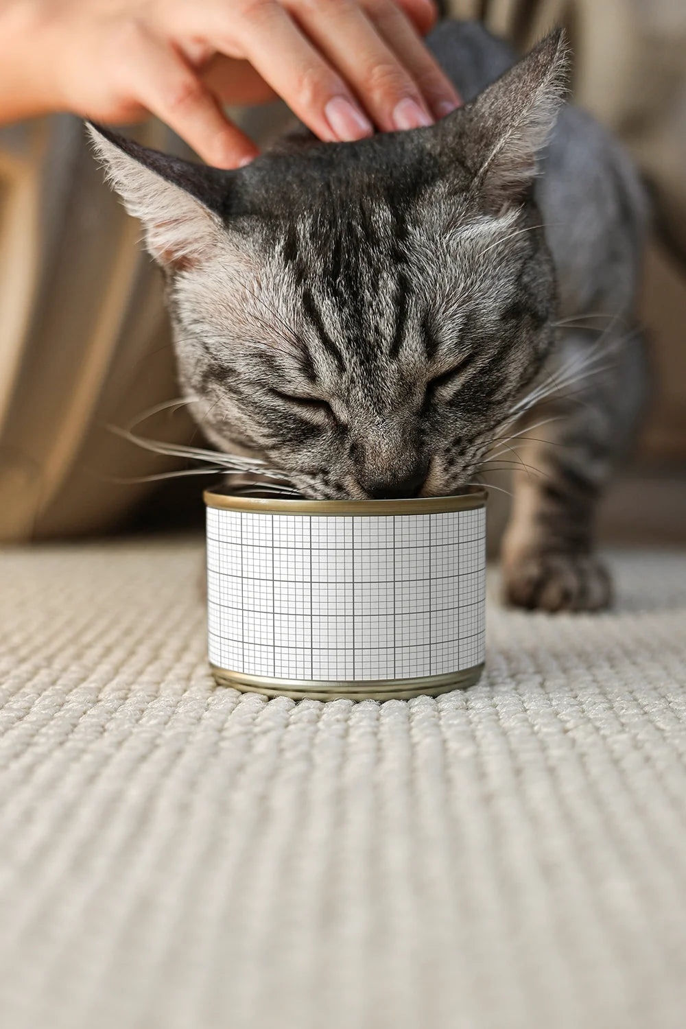 Cat Food Can Mockup