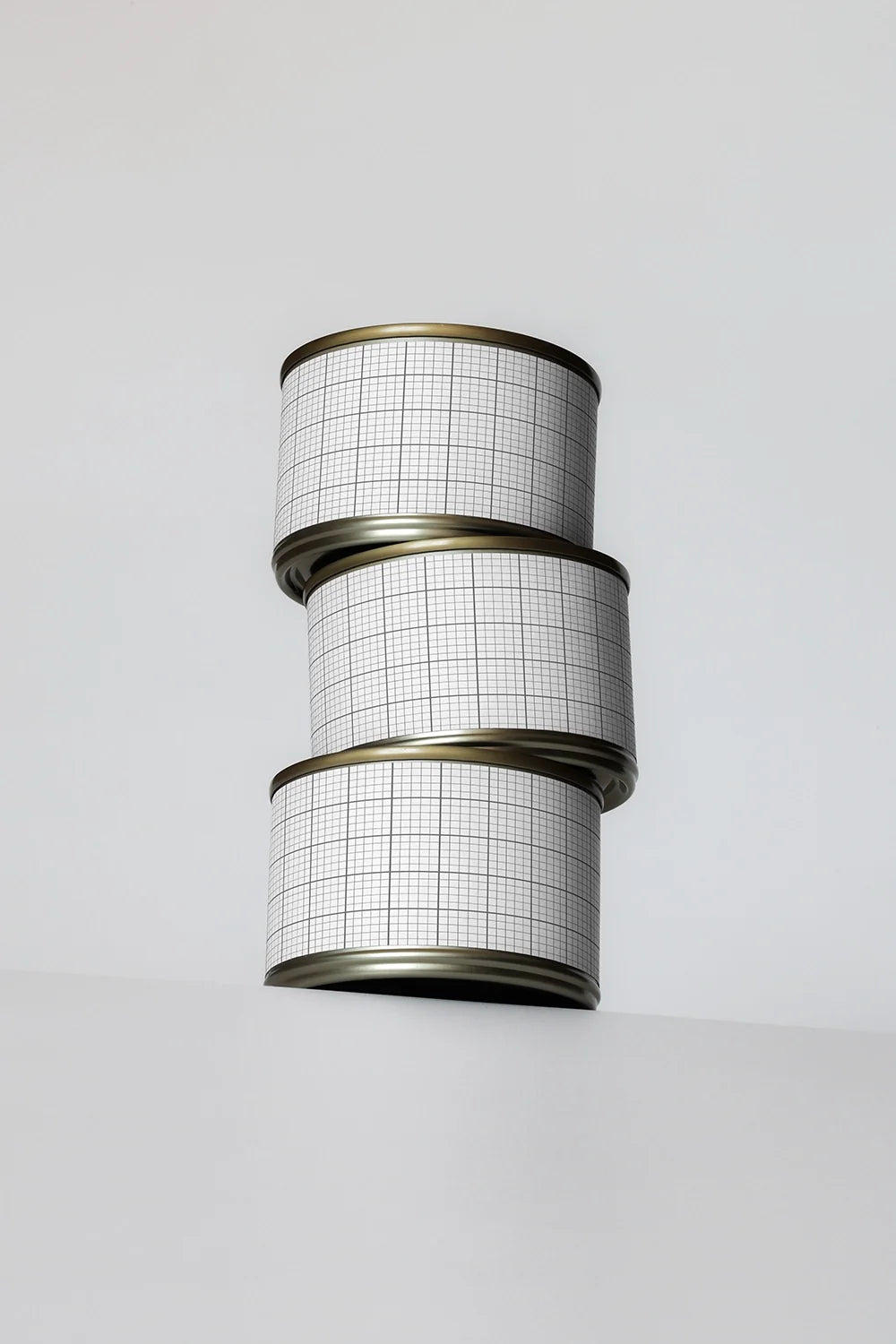 Cat Food Can Mockup