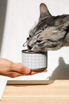 Cat Food Can Mockup